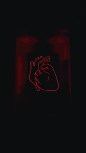 sonde échographique