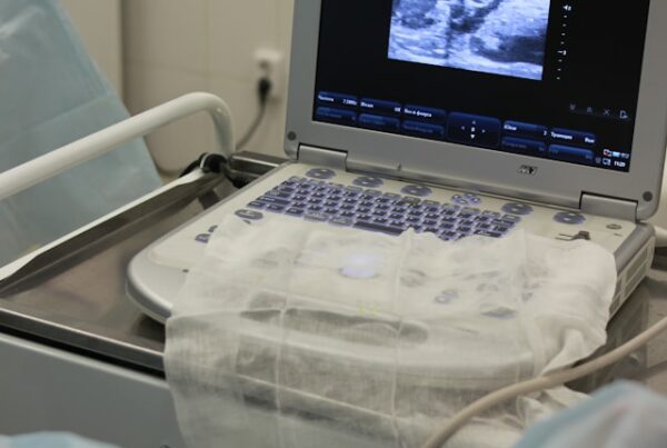 guide pratique panne de sonde échographique practical guide to ultrasound probe failure