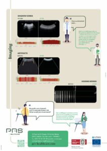 practical guide to ultrasound probe failure